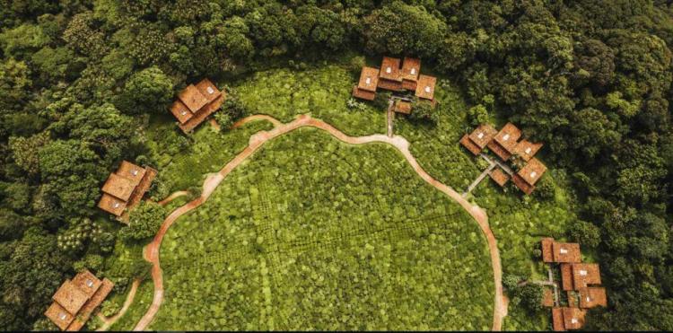 ONE AND ONLY NYUNGWE HOUSE